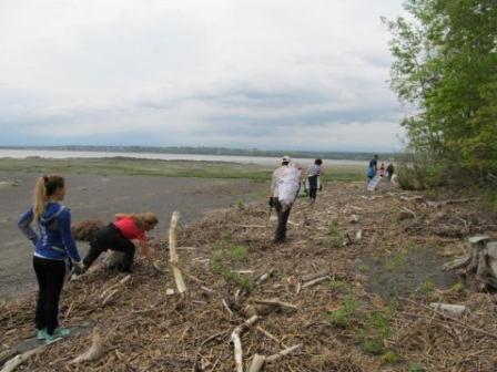 On a procédé au nettoyage complet des berges du domaine.