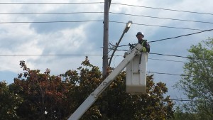 Les nouveaux lampadaires sont plus petits et plus efficaces que ceux de  l'ancien système.