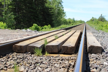 Rails et passage à niveau_Train_réduite