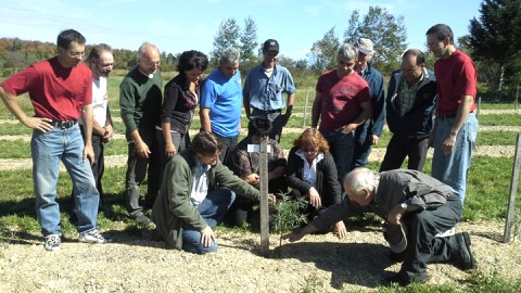 Dix producteurs du sud de la MRC de Montmagny se lancent dans la production d'argousiers