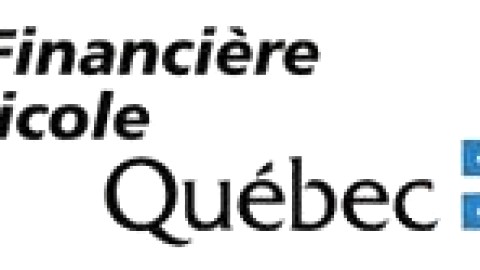 2,6 millions$ en 2011