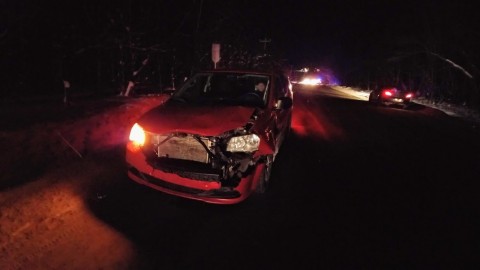 Collision avec trois chevreuils à Berthier-sur-Mer