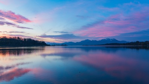 Réchauffement climatique : Les algues envahissent nos lacs, même les plus reculés 