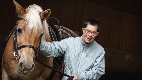 Parrainer un cheval pour aider le Centre d’Équithérapie La Remontée 