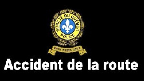 Collision entre un orignal et une voiture à St-Alexandre