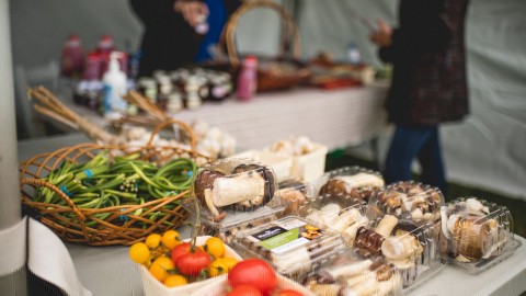 Le Festival des champignons forestiers du Kamouraska célèbre 10 ans de découvertes gourmandes et scientifiques