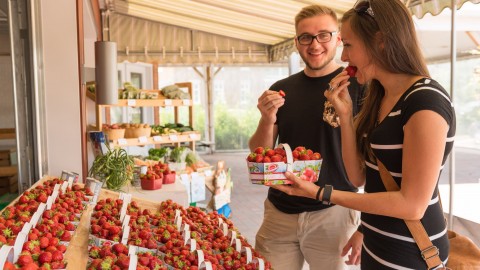 Le Marché public du centre-ville de Montmagny lance « Les jeudis du marché »