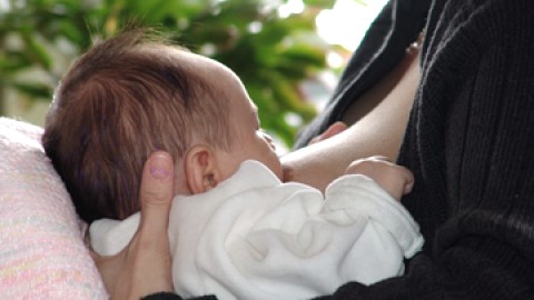 Recherche d'exposants pour un salon de la famille