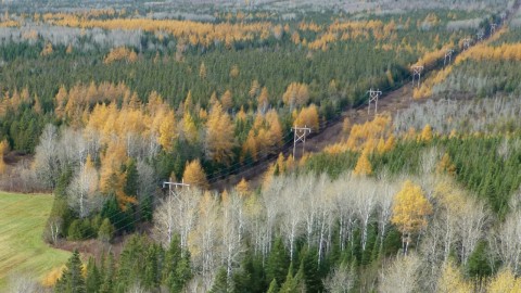 Hydro-Québec modernisera son réseau de transport d'électricité dans la région au coût de 200 M$