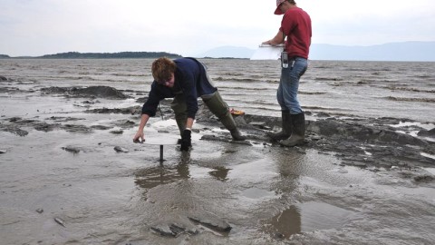 VASTE ÉTUDE SUR L'ÉROSION DES BERGES À L'ISLE-AUX-GRUES
