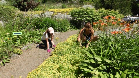 Le Jardin Floral s’associe à l’équipe tandem-jeunesse du Défi Éverest pour le bénéfice des jeunes du Kamouraska