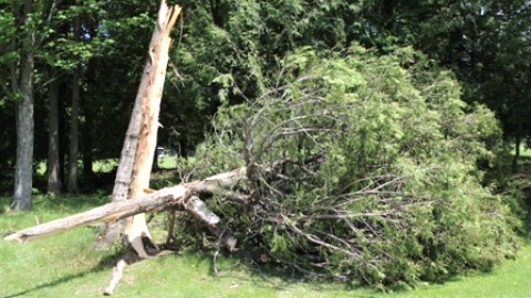 Une micro-rafale destructrice s'attaque au Club de Golf de Montmagny