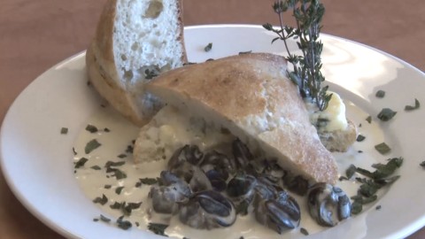 	            	Chronique IGA : Escargot au vin blanc et fromage bleu	            