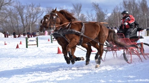 Des plaisirs d'hiver délirants et de belles activités au parc Saint-Nicolas