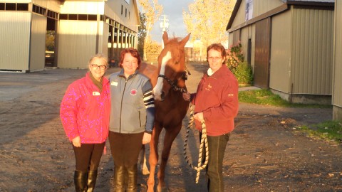 Réussite de l'examen d'instructeur intermédiaire de l'Association Canadienne d'Équitation thérapeutique pour deux candidates de la région de Chaudière-Appalaches.