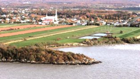 Grosse année en vue à Cap-Saint-Ignace