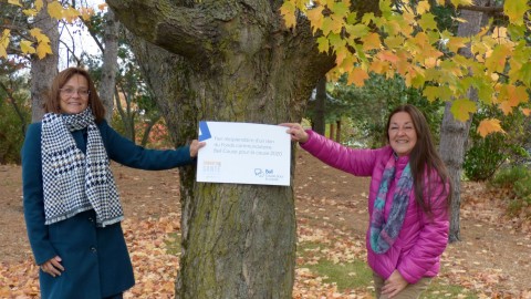 Le Fonds communautaire Bell Cause pour la cause appuie la Fondation Santé Beauce-Etchemin 