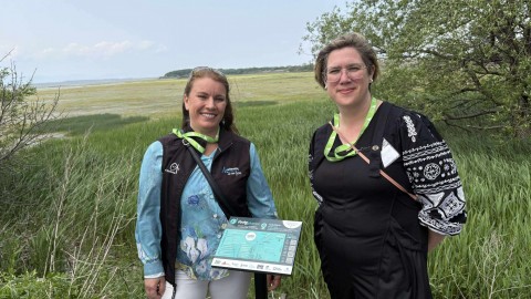 La Route des plumes : un parcours unique pour découvrir les trésors ailés de la MRC de Montmagny