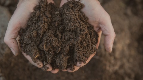 Montmagny récompense ses citoyens écolos avec du compost gratuit