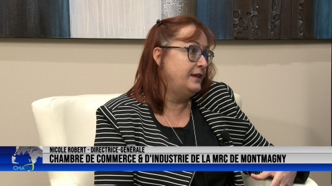 Entrevue - Nicole Robert, directrice-générale de la Chambre de commerce et d'industrie de la MRC de Montmagny - 17 novembre 2021