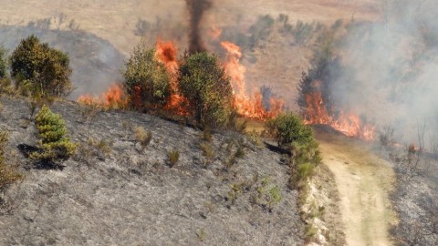 Brûlage contrôlé au sud de la frontière