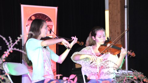 Les Violons d'automne charment plus que jamais