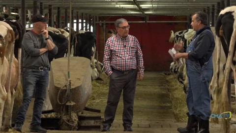 Entrevue - Daniel Demers, classificateur Holstein, rencontré à la ferme ancestrale Landry - 7 juin 2021