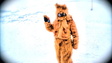 La re?ponse du grand Sasquatch
