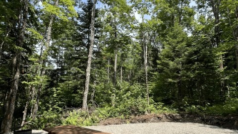 Une année record pour le Parc du Massif du Sud