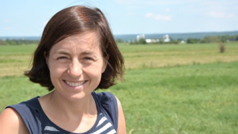 Grand salon des produits régionaux  «Le top du top!»   - Vergers du Cap