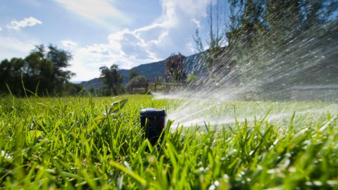 Avis préventif concernant la consommation d’eau potable de Montmagny