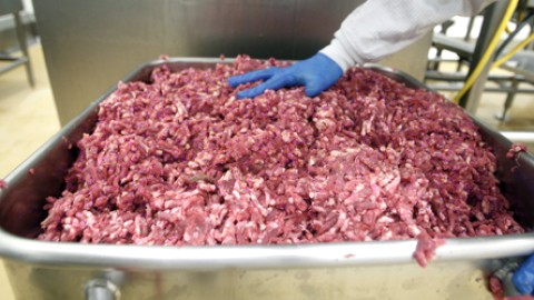 DEUX CAS D'INFECTION À LA BACTÉRIE E. COLI CONFIRMÉS AU QUÉBEC