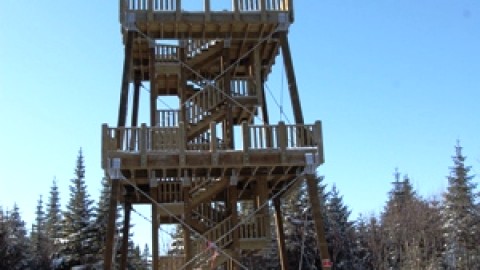 Saint-Aubert érige une tour d'observation