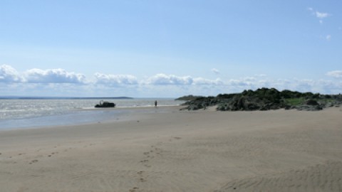 Montmagny et les îles présentent : Un après-midi aux bancs de sable