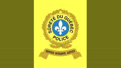 	            	Leurre informatique et pornographie juvénile : un Français comparait à Montmagny	            