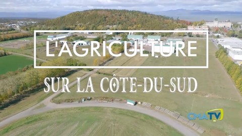 L'agriculture sur la Côte du Sud   Épisode 4   15 août 2018