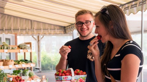 Le Marché public du centre-ville est un arrêt incontournable durant la Promenade gourmande en Montmagny et les Îles 