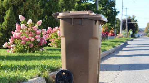 Place à la première collecte des matières compostables à Montmagny