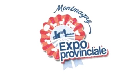 Expo de Montmagny : Mario Cantin et Simon Boulet se contredisent au sujet des équipements achetés d'Expo-Québec