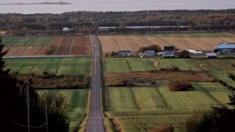 Réalisation d'une étude sur l'acquisition des terres agricoles au Québec