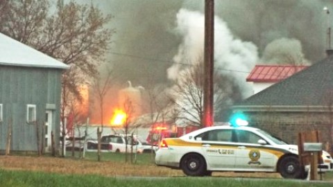 Un incendie détruit une oisellerie à Saint-Michel de Bellechasse