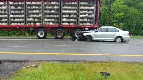 Un homme fuit les lieux après avoir fait un accident impliquant un camion de transport de dinde à Berthier-sur-Mer