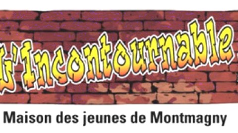 La Maison des jeunes de Montmagny organise son premier marché aux puces