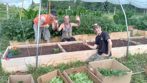 Une première saison réussie au nouveau Jardin collectif de Saint-Pamphile 