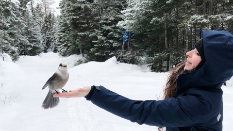 Renouveau au centre de plein air Les Sentiers de l’Inconnu