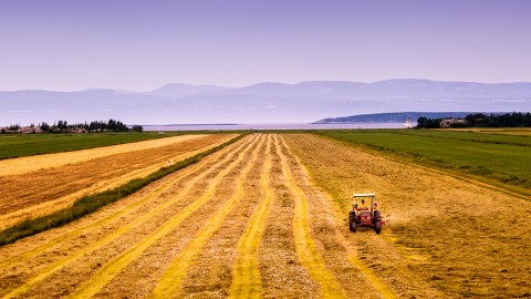 Un nouvel outil d’accompagnement pour les projets bioalimentaires au Kamouraska