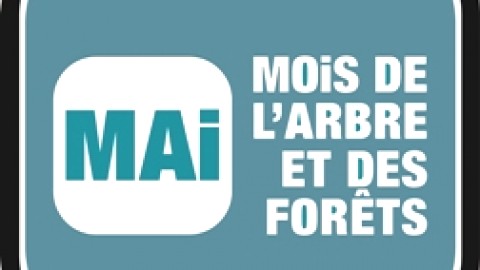 Mai, le mois de l'arbre et des forêts; dons d'arbres par la municipalité de L'Islet