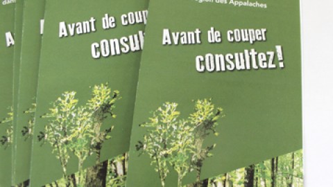 Un nouvel outil d'information pour la protection et la mise en valeur des forêts privées de la région des Appalaches