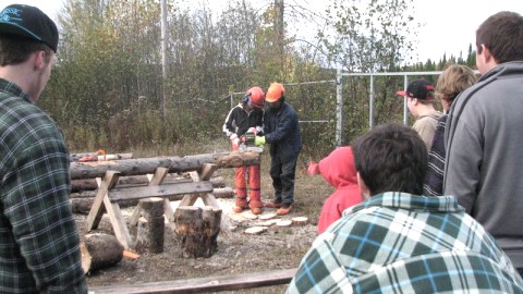 VIENS VIVRE LA FORÊT