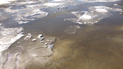 La Ville de Montmagny est sur le pied d'alerte en ce qui concerne la rivière du Sud